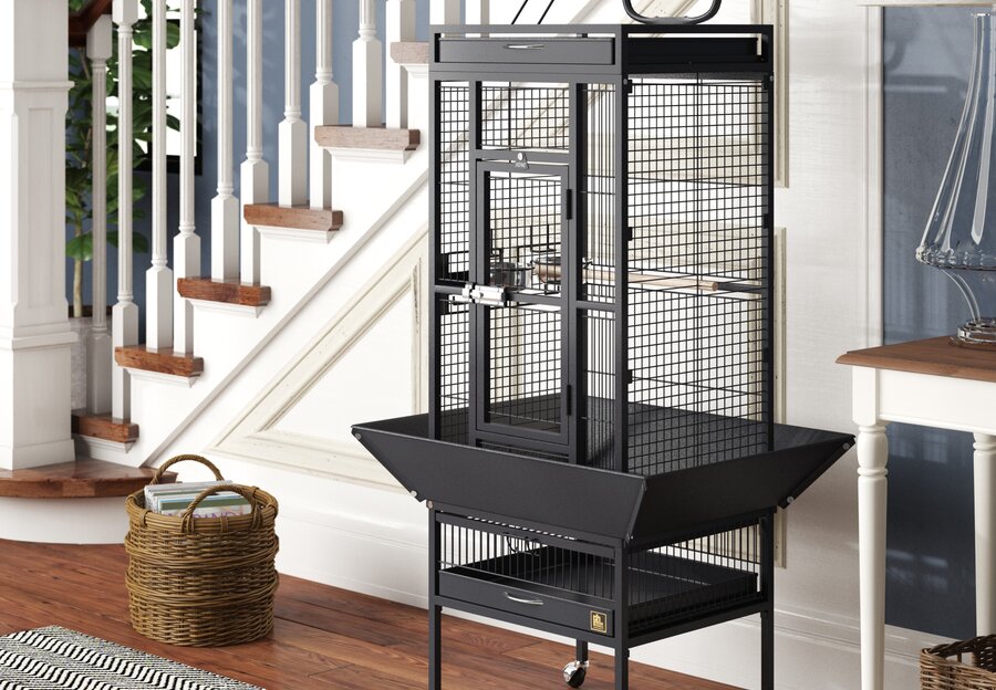 Bird Cages | Wayfair